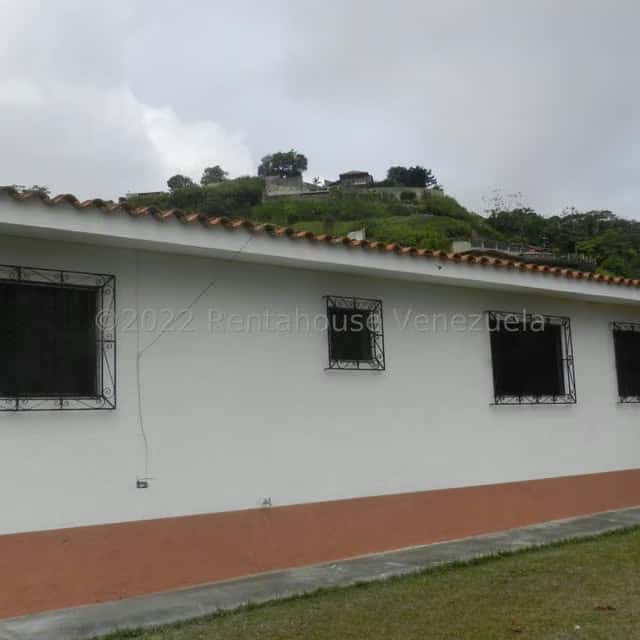Vista 29