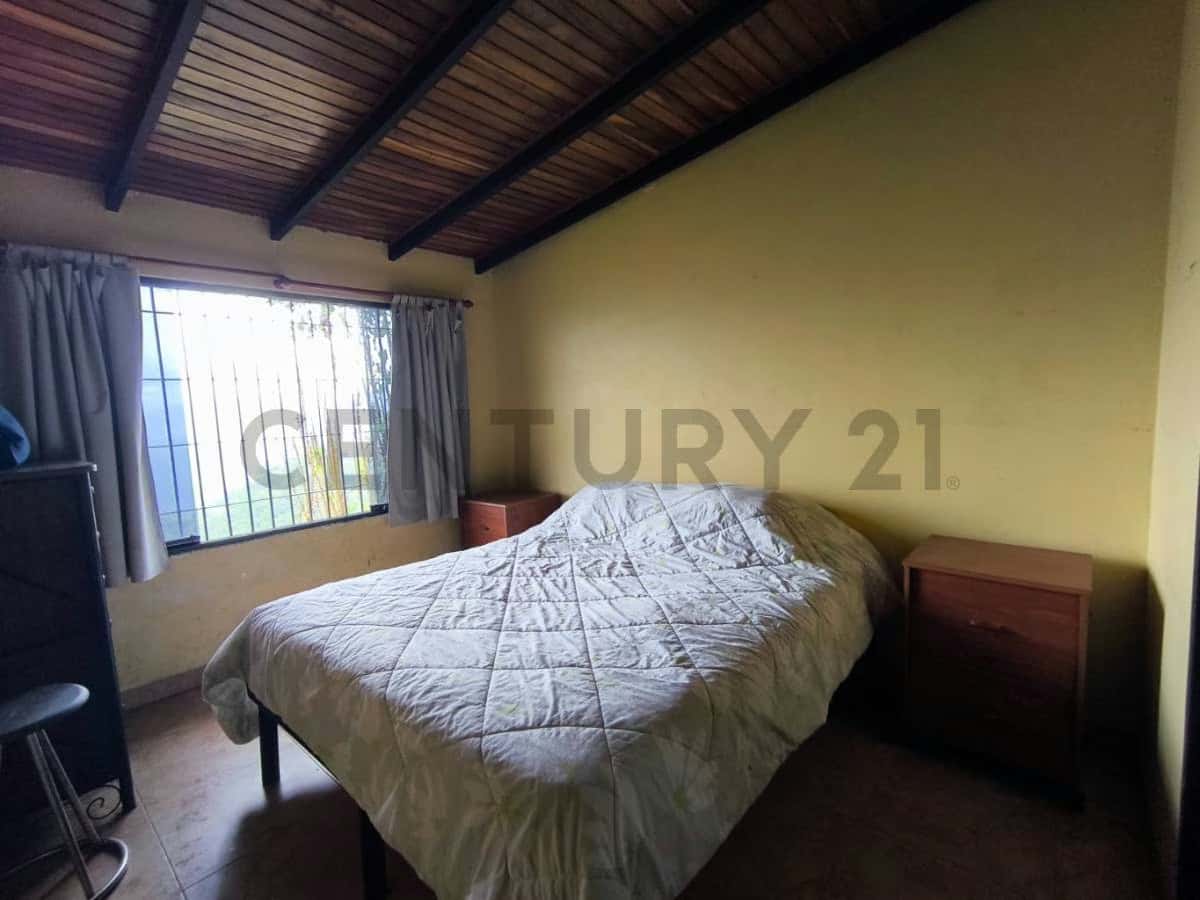 View 23
