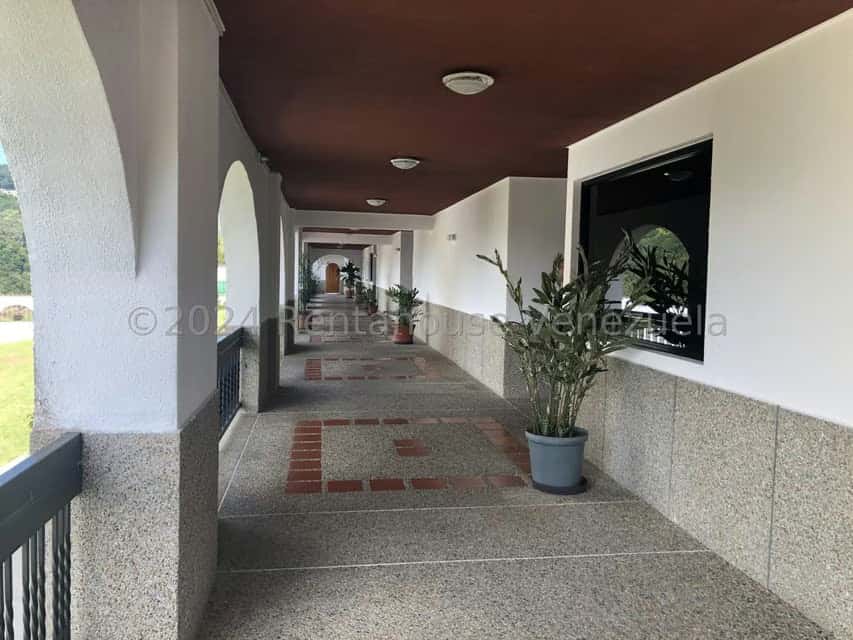 Vista 38