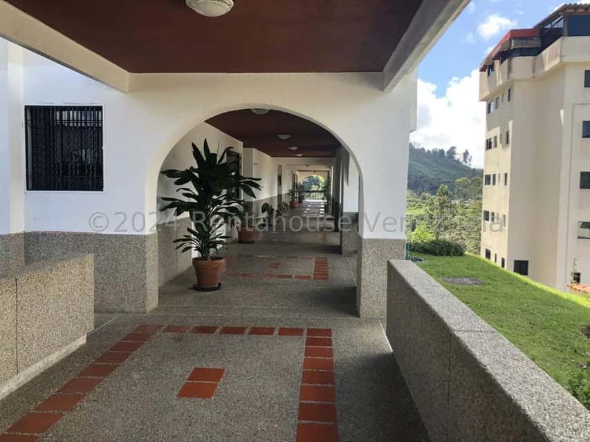 Vista 6
