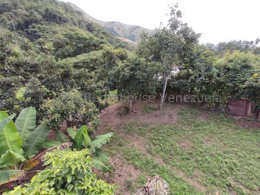 View 22