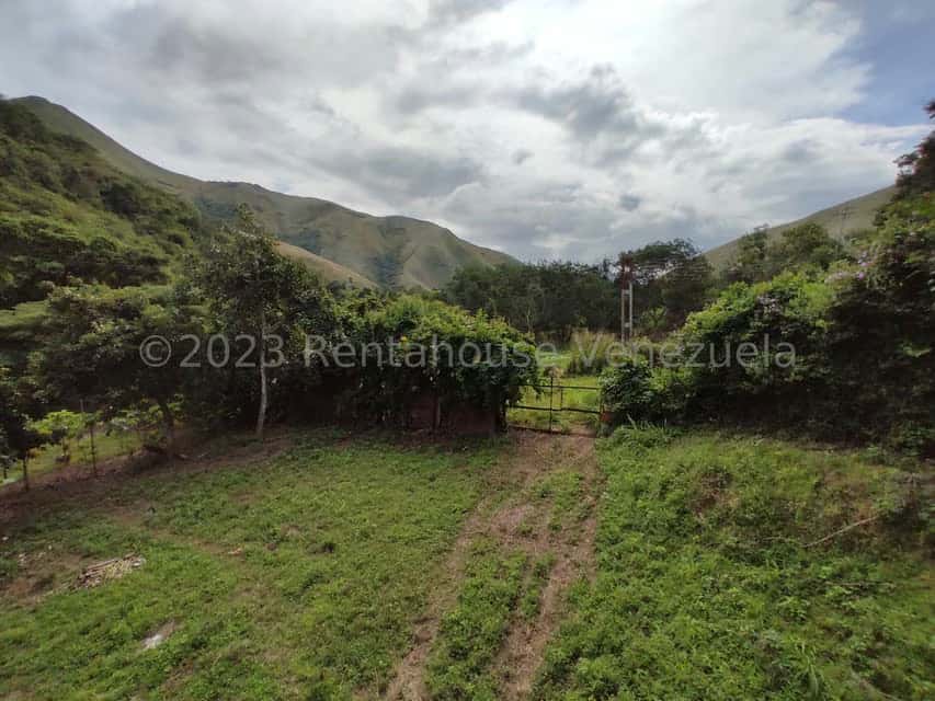 View 24