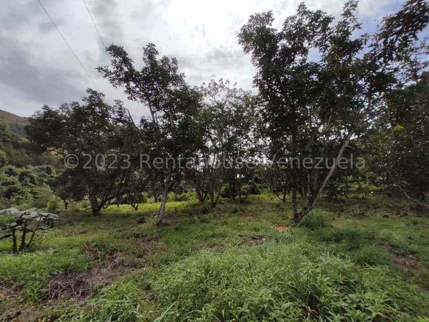 View 27