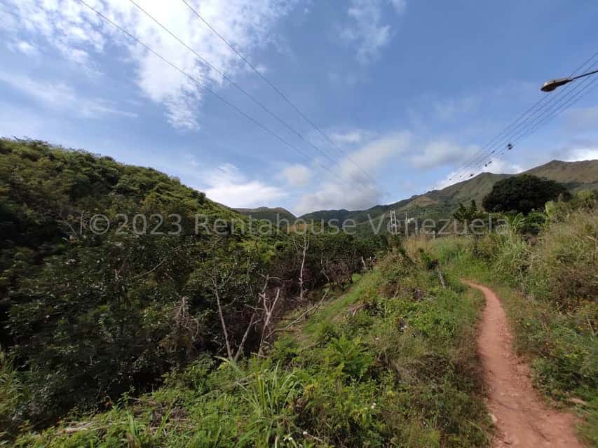 View 32