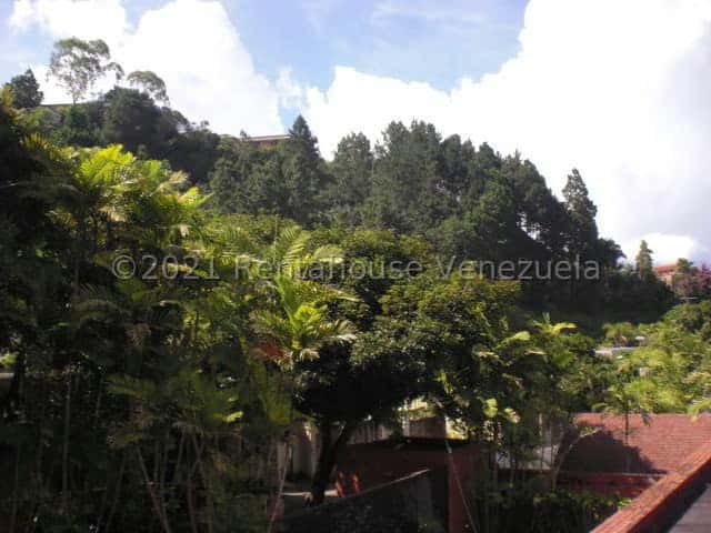 View 10