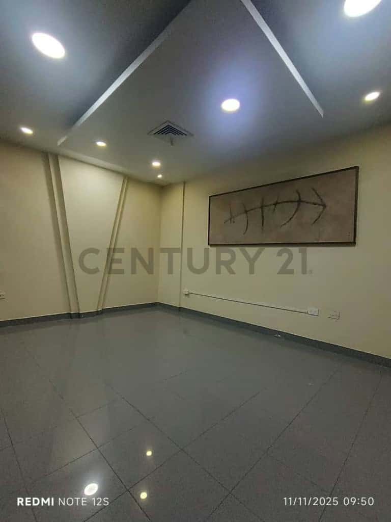 Vista 5