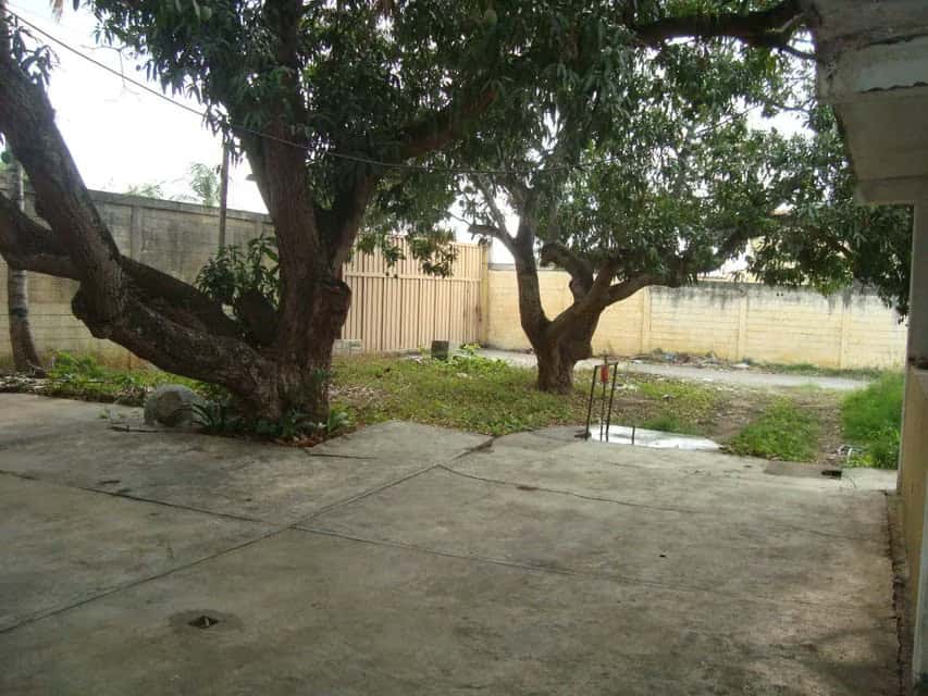 View 1