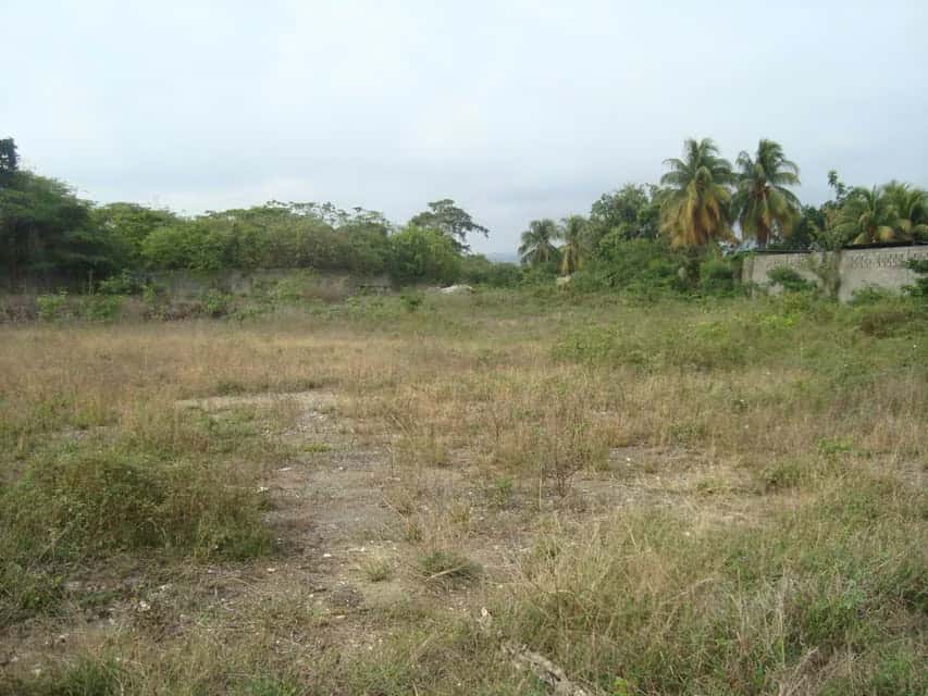 View 3