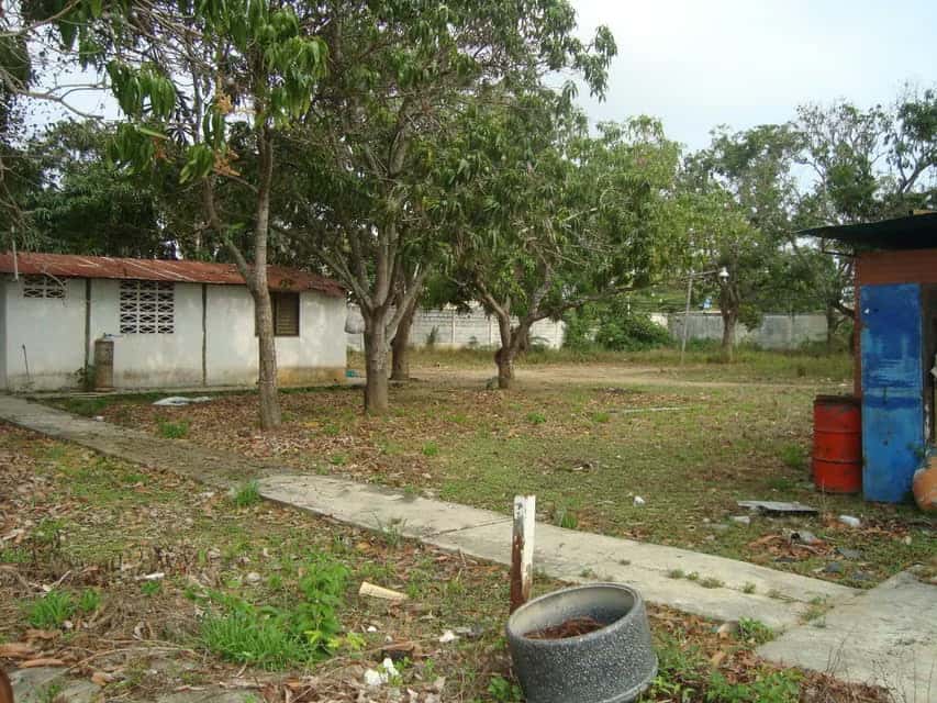 View 6