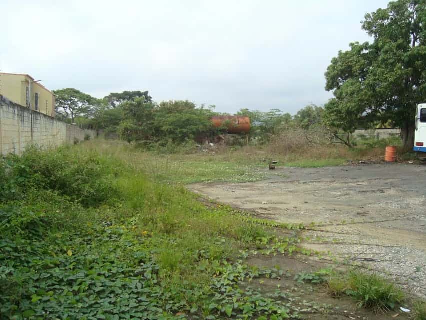 View 7