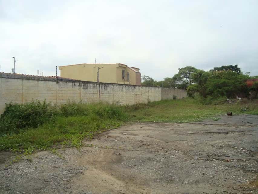 View 8