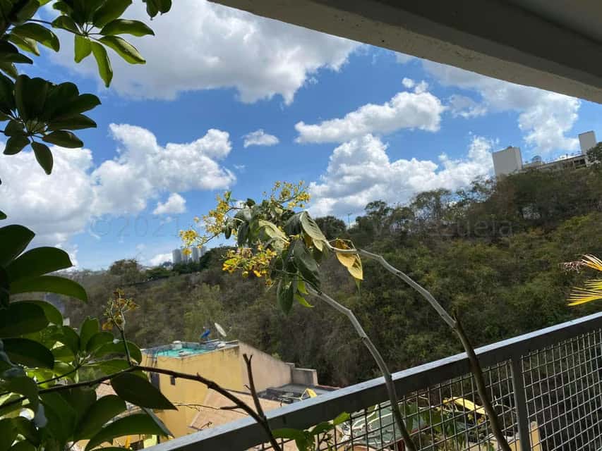 View 36