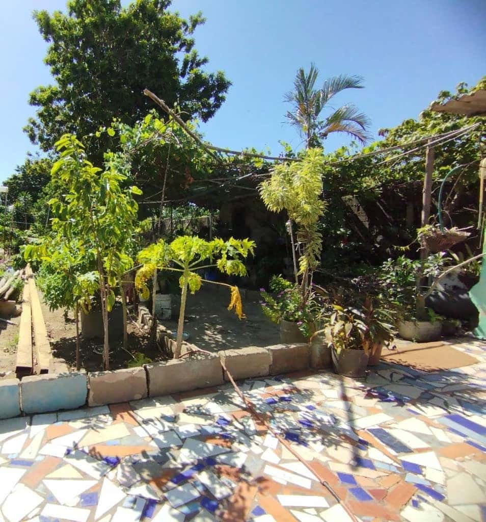 Vista 7