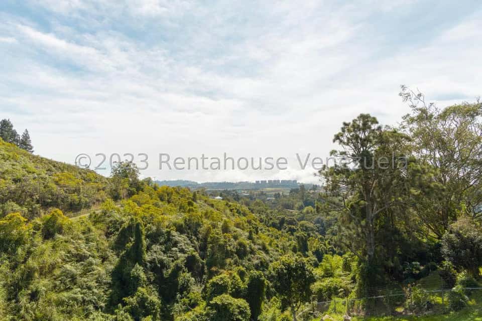 Vista 66