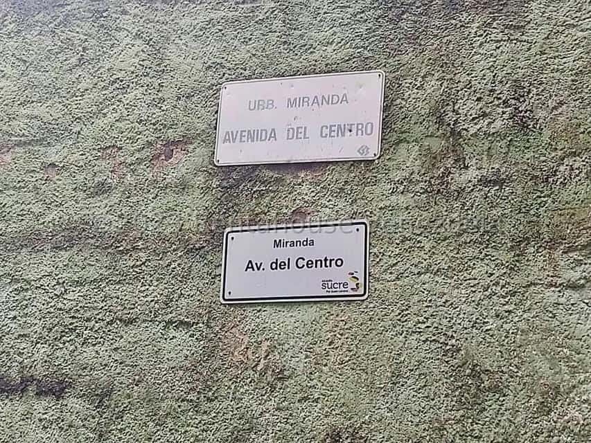 Vista 9