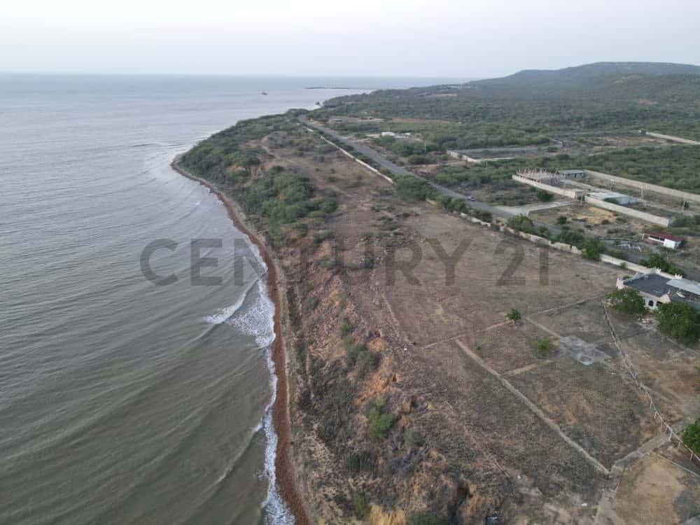View 11