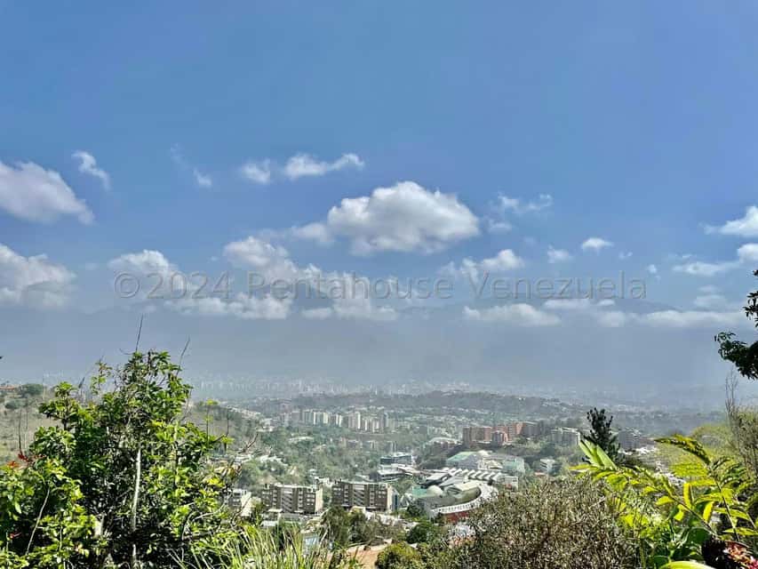 View 31