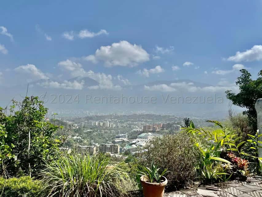 View 32
