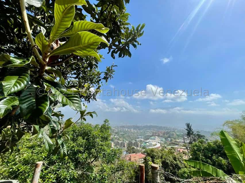 View 37