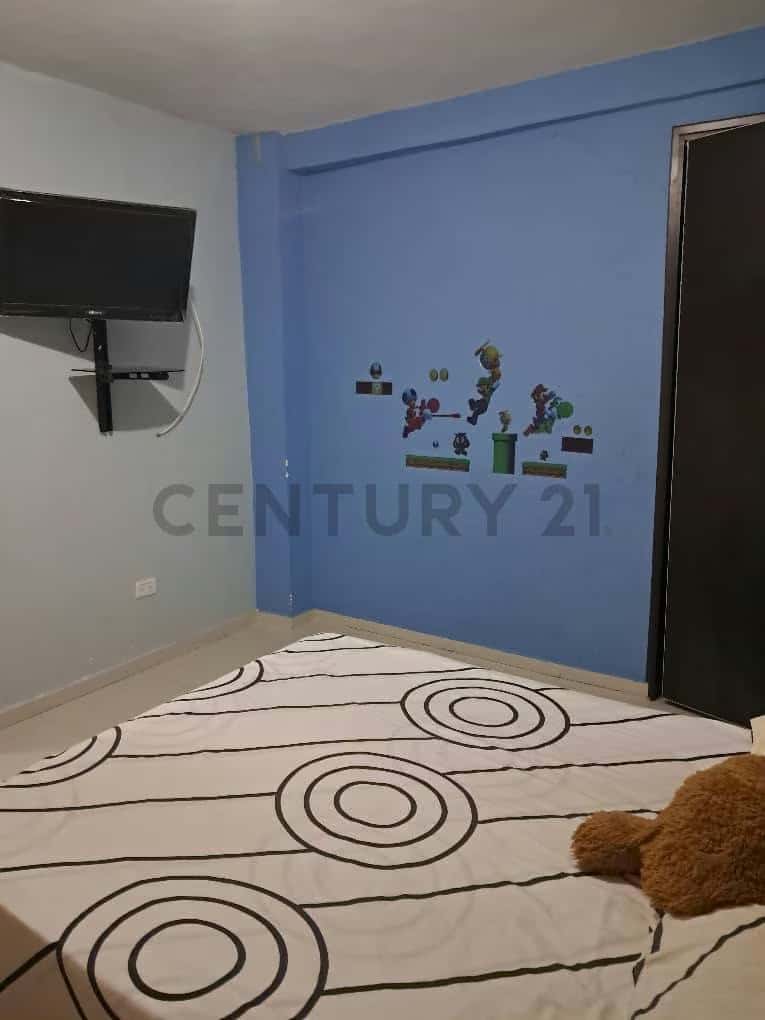 Vista 11
