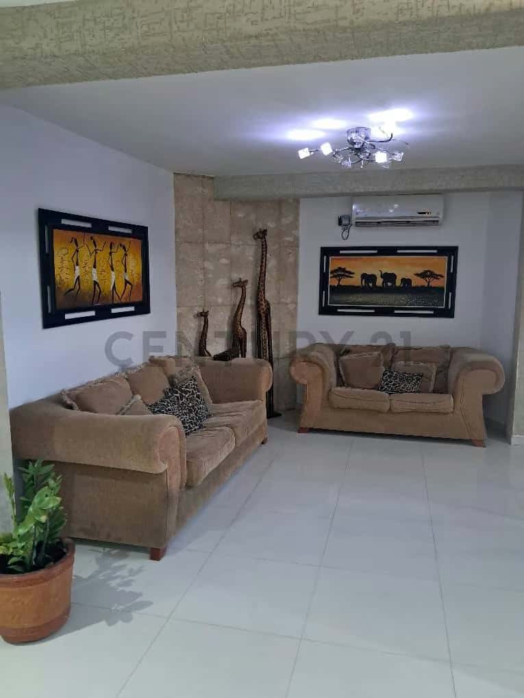 Vista 3