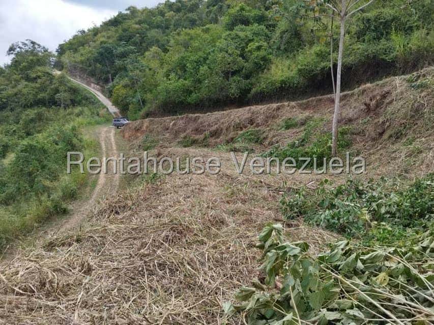 View 6