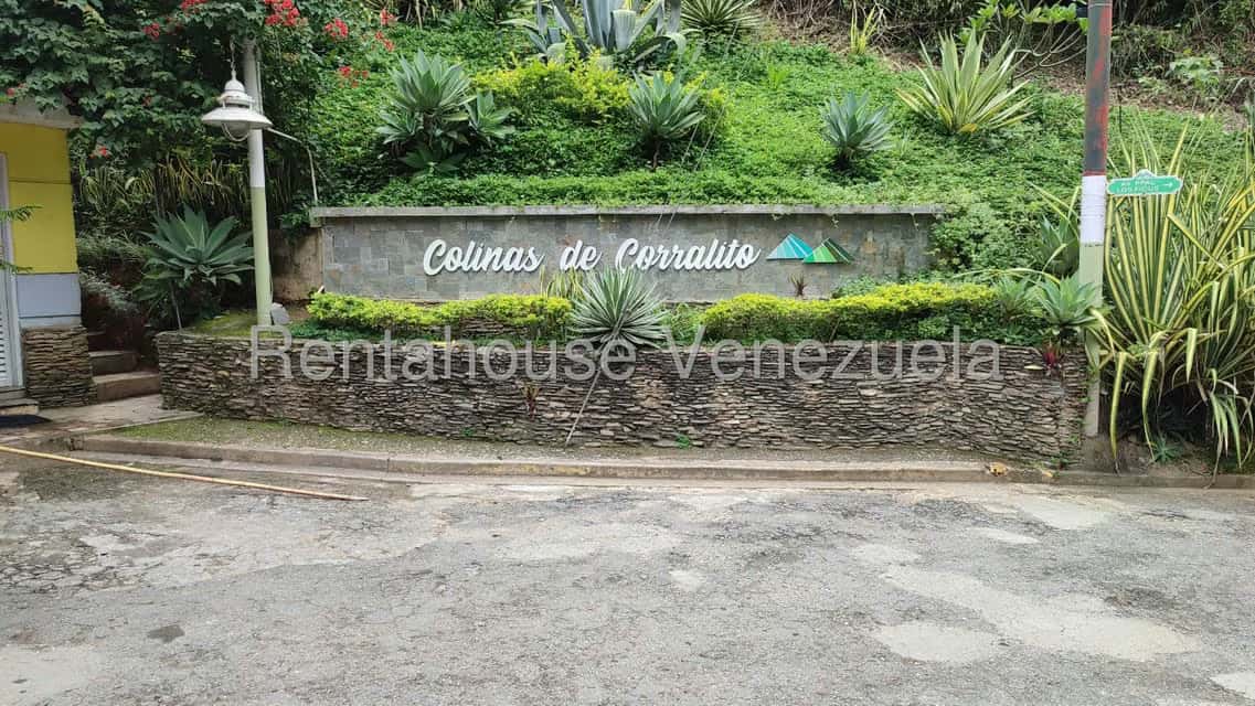 Vista 1