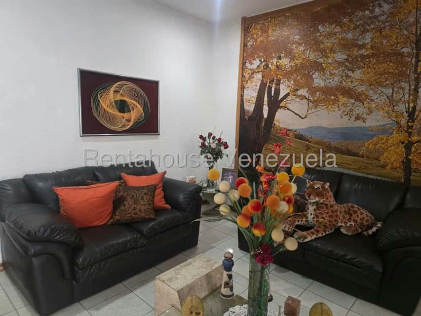 Vista 3