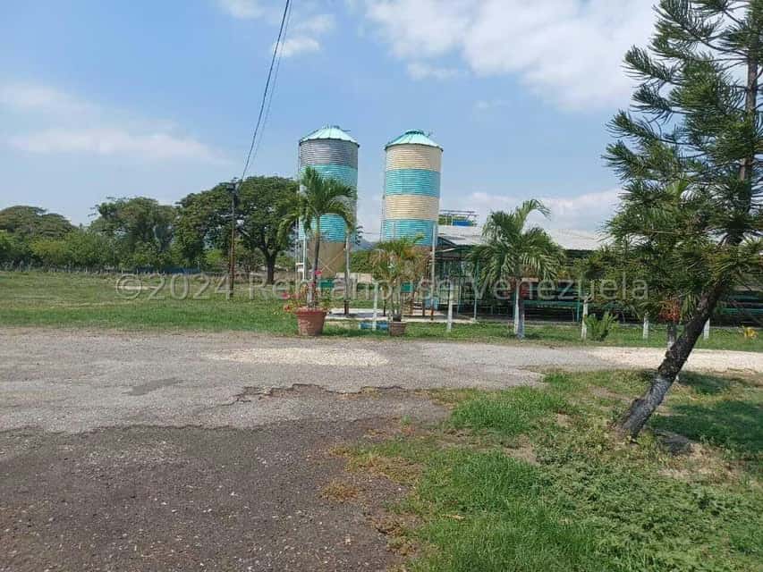 View 17