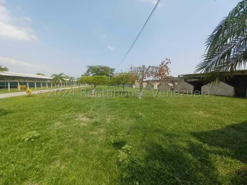 View 23
