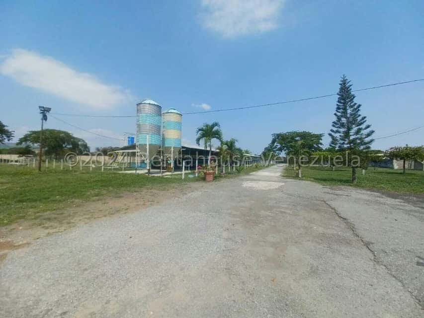 View 5