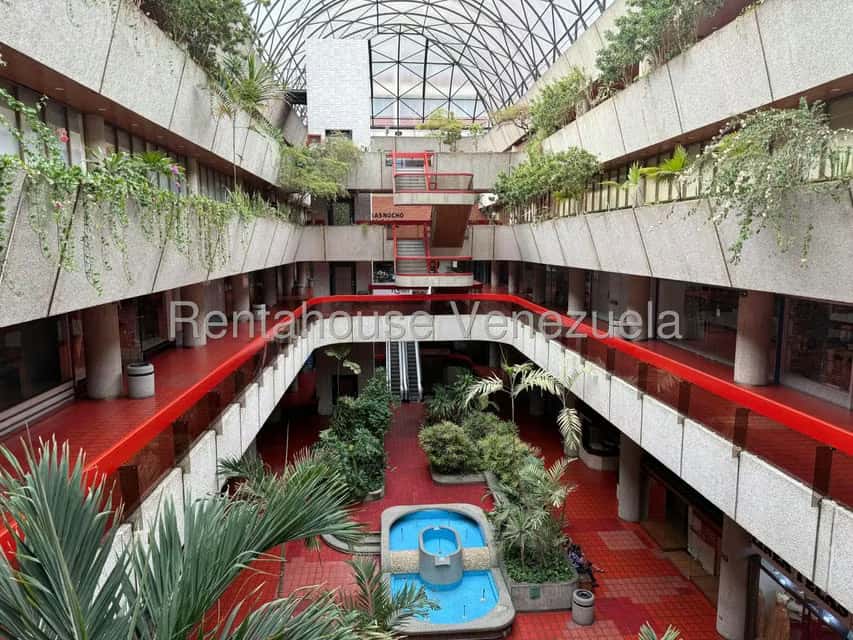 Vista 3