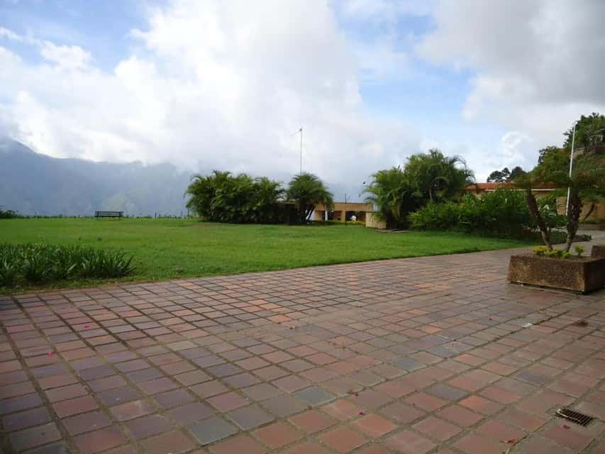 View 36