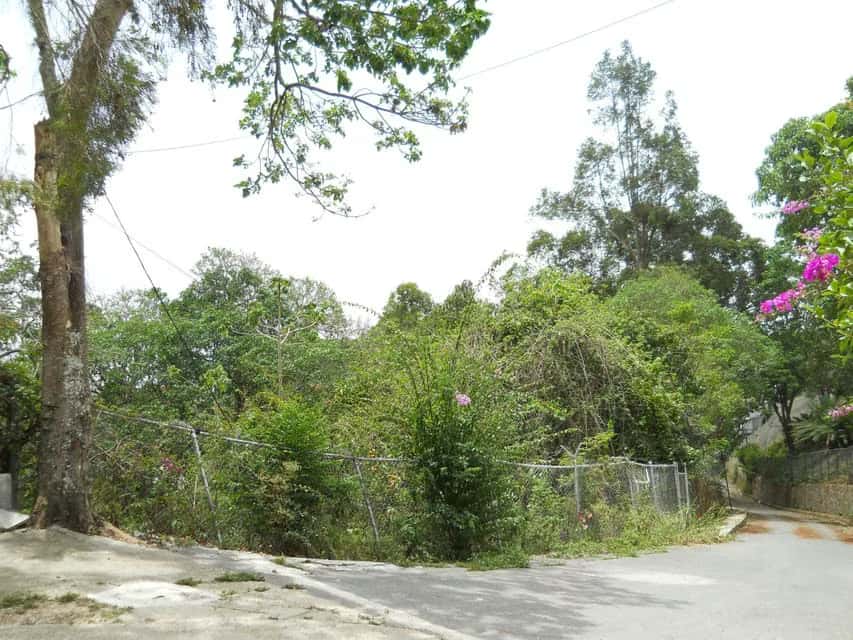 Vista 5