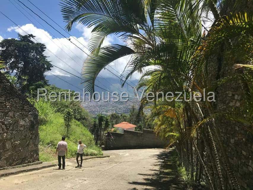 Vista 12