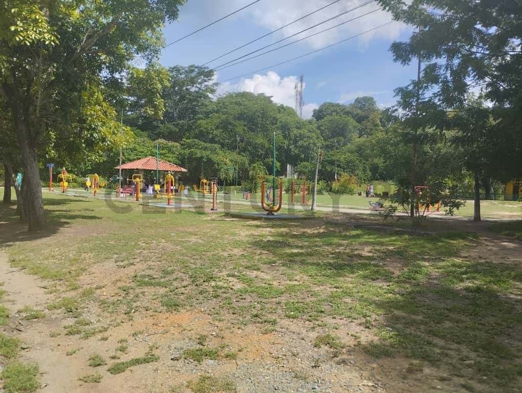 View 24