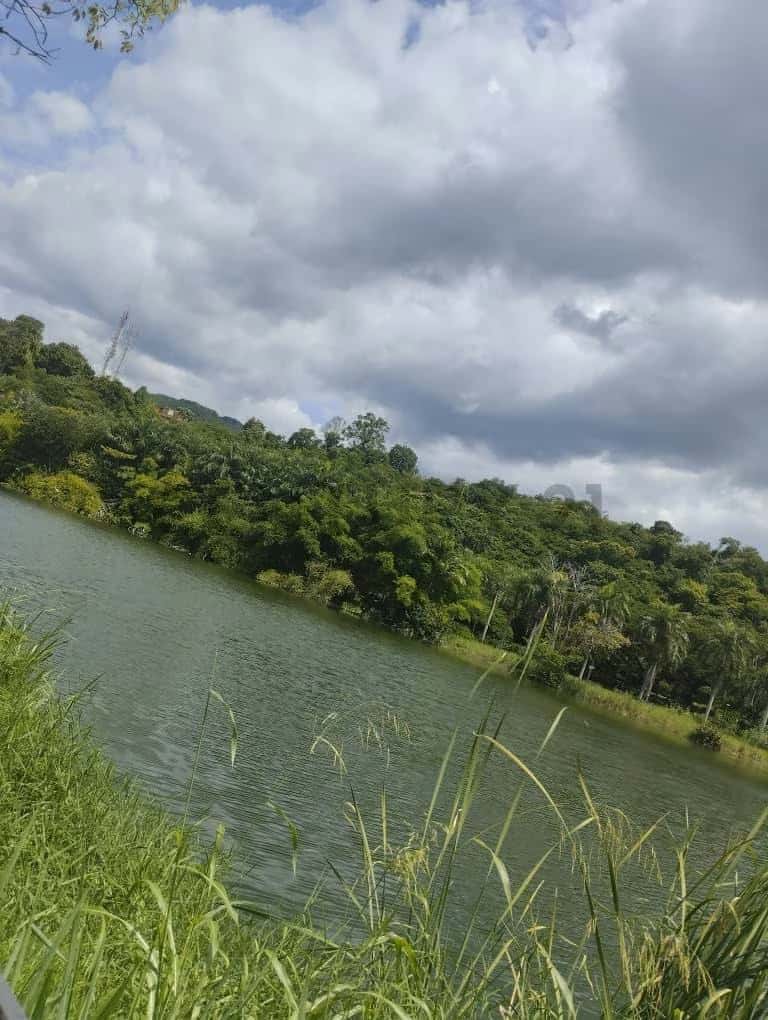 View 25