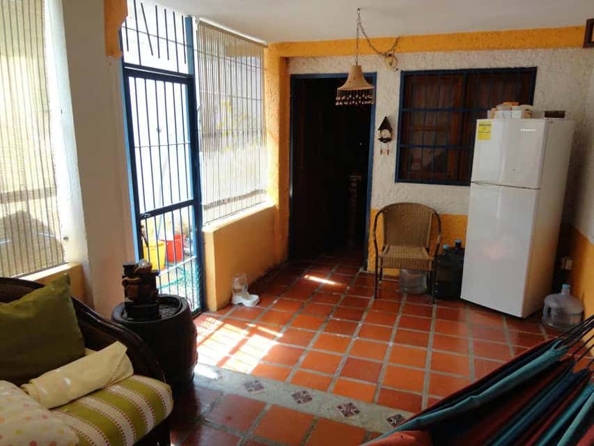 Vista 19