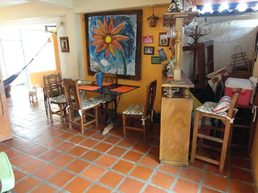 Vista 20