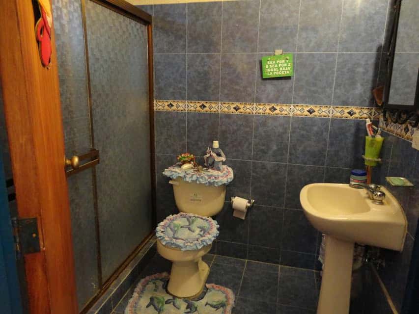 Vista 25