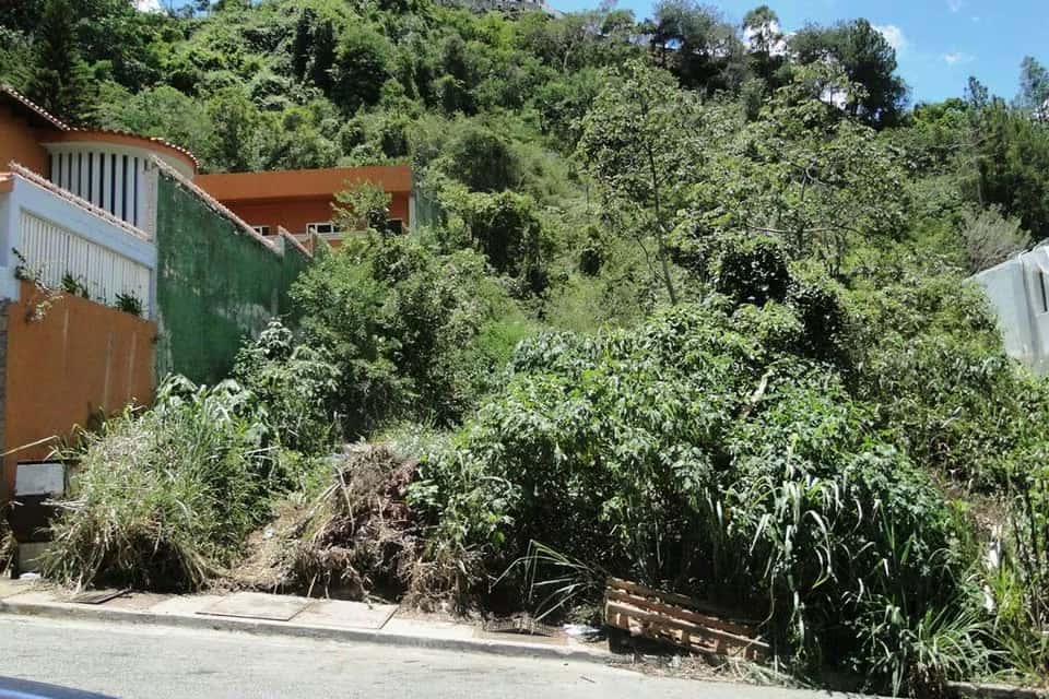 Vista 1