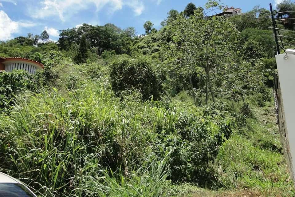 Vista 4