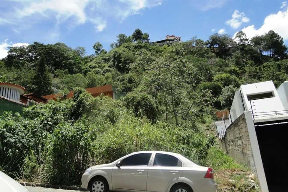 Vista 5