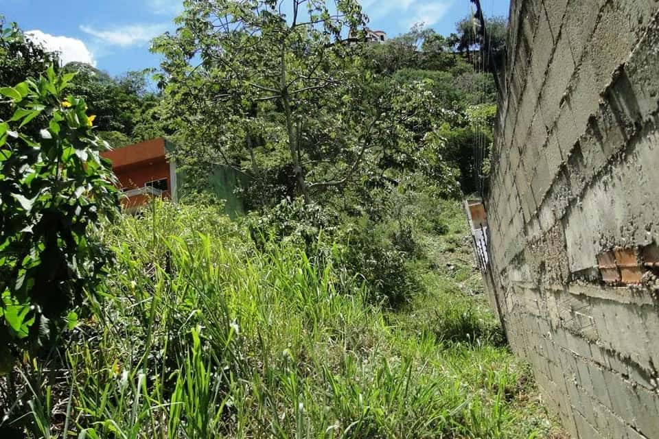 Vista 7
