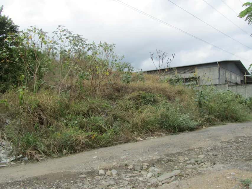 View 3