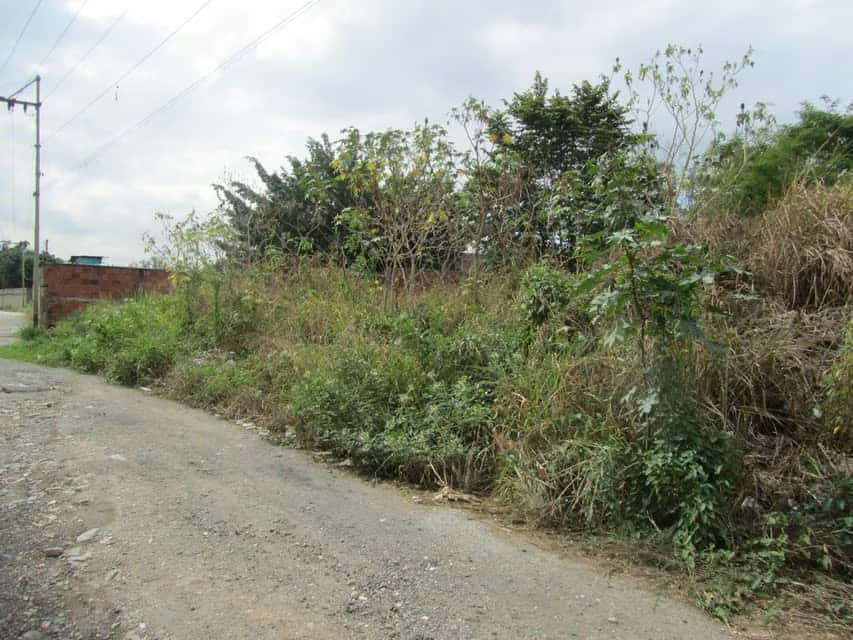 View 7
