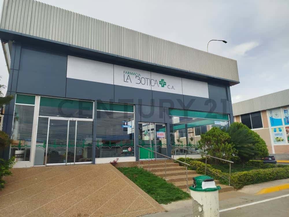 Vista 1