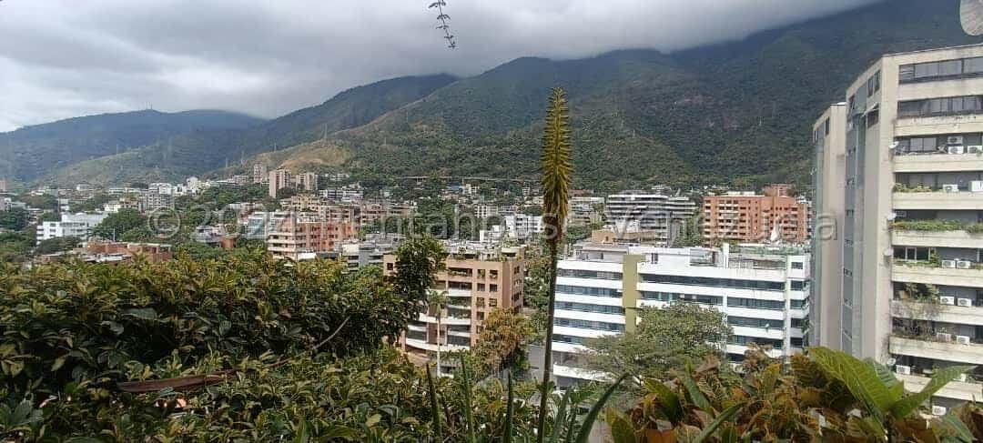 Vista 19