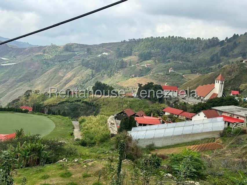 View 13