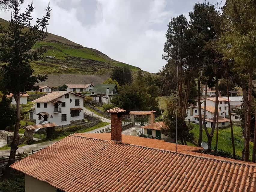 Vista 20